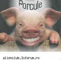 Regulile SERVERULUI - DR|FTACHE - REGULI